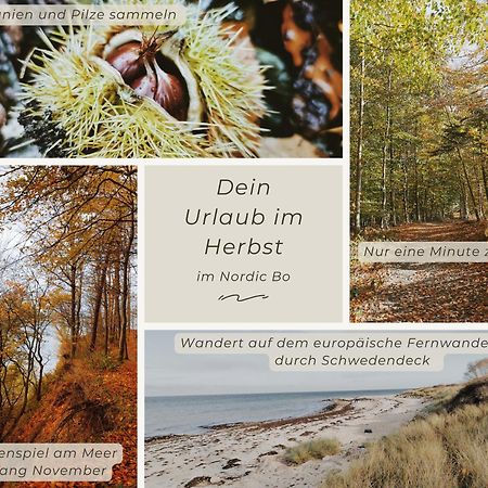 Nordic Bo -Wellen Wald Und Wilde Kueste- Strandnahe Doppelhaushaelfte Mit Waldterrasse Surendorf Exterior foto