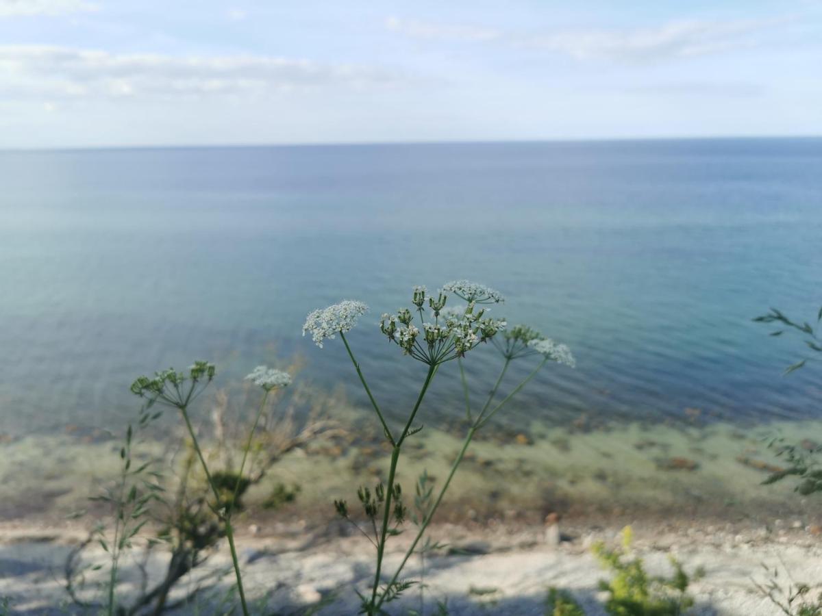 Nordic Bo -Wellen Wald Und Wilde Kueste- Strandnahe Doppelhaushaelfte Mit Waldterrasse Surendorf Exterior foto
