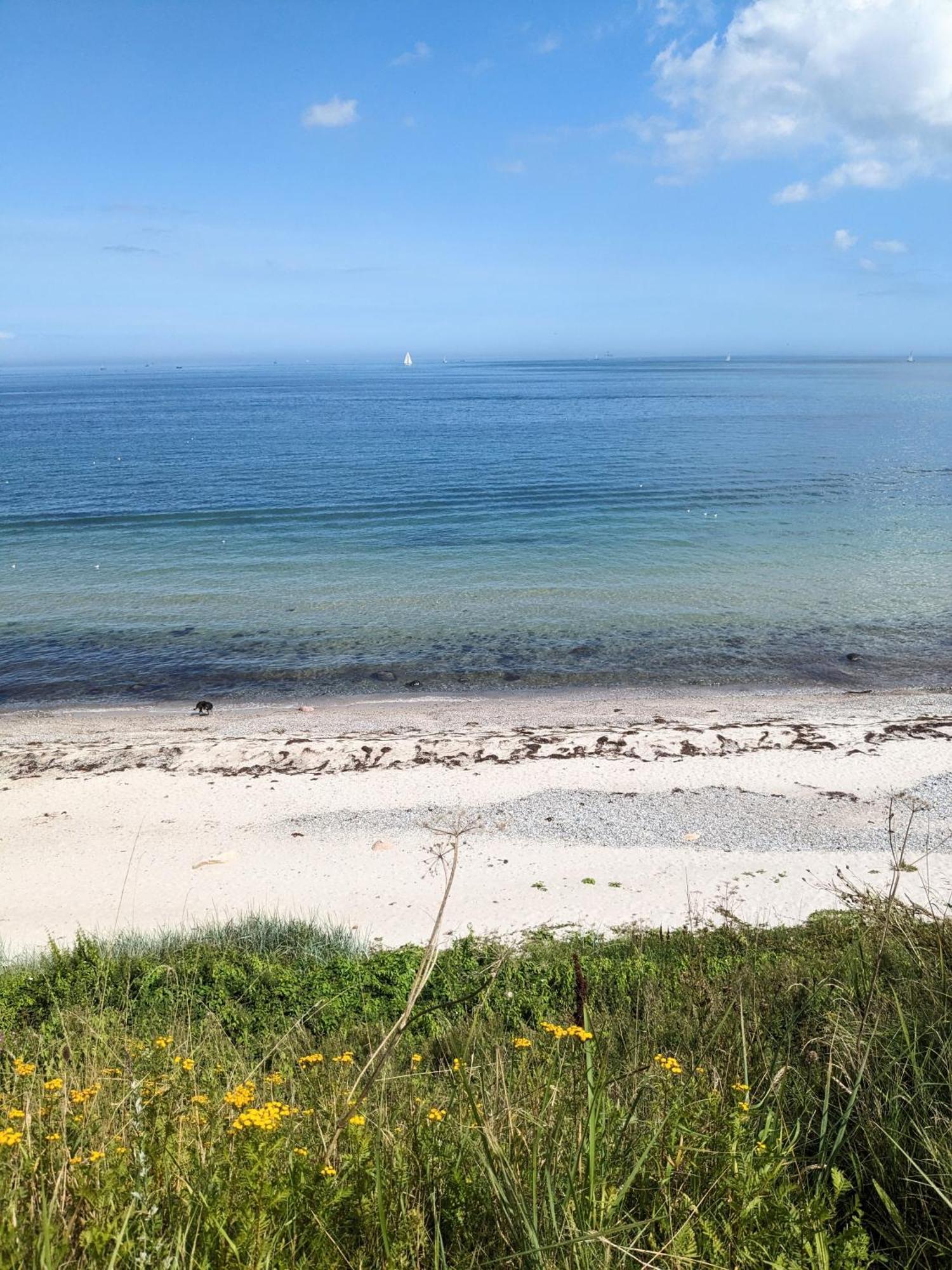 Nordic Bo -Wellen Wald Und Wilde Kueste- Strandnahe Doppelhaushaelfte Mit Waldterrasse Surendorf Exterior foto
