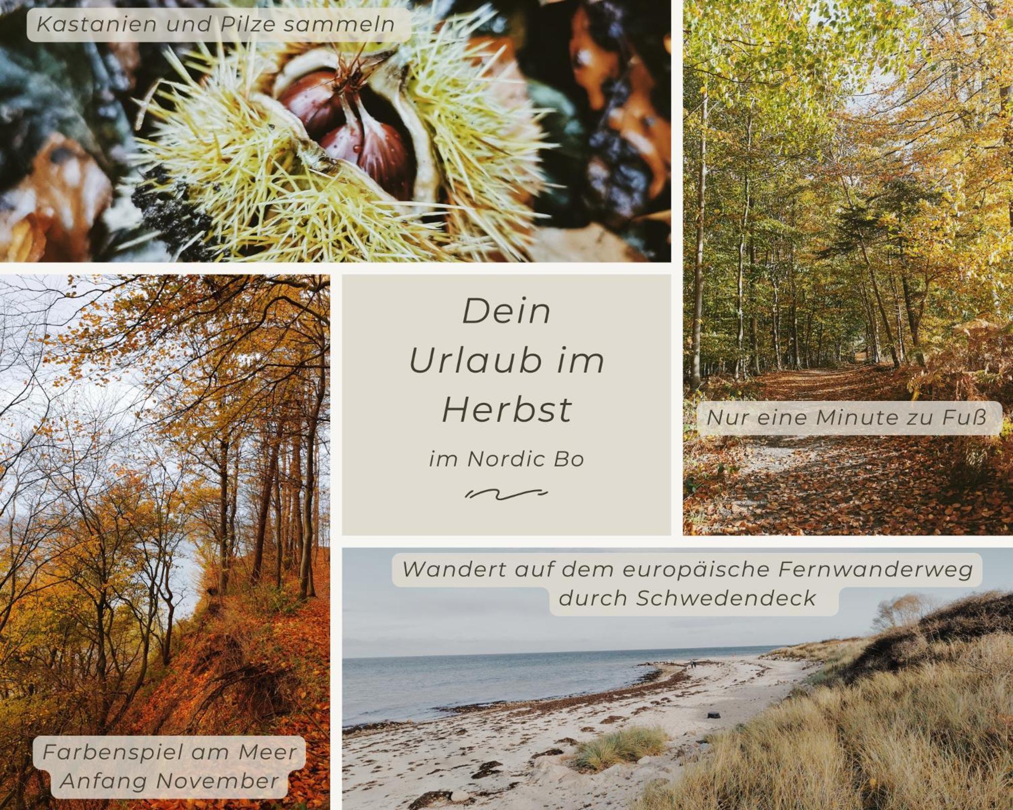 Nordic Bo -Wellen Wald Und Wilde Kueste- Strandnahe Doppelhaushaelfte Mit Waldterrasse Surendorf Exterior foto